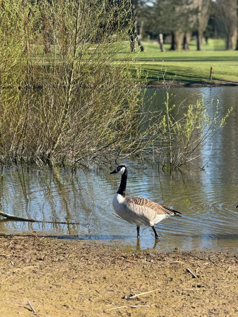 Comment être green sur le green ?